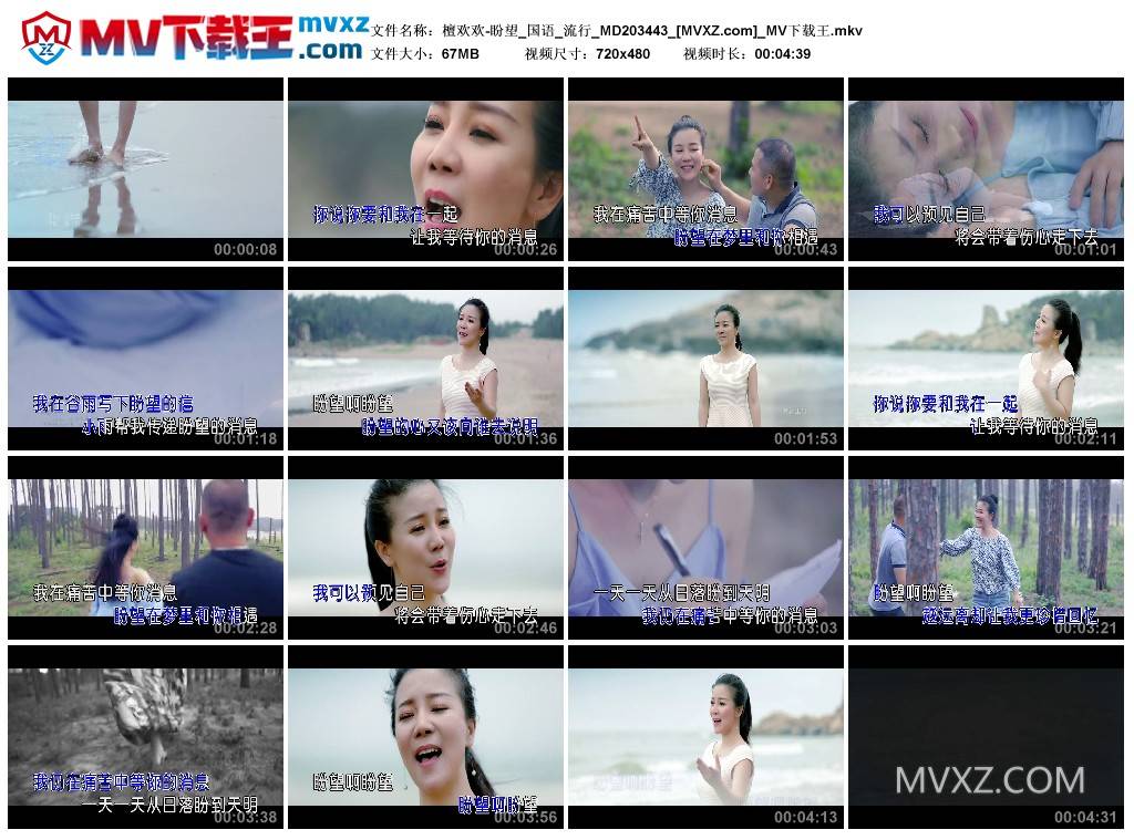 檀欢欢-盼望_国语_流行_MD203443